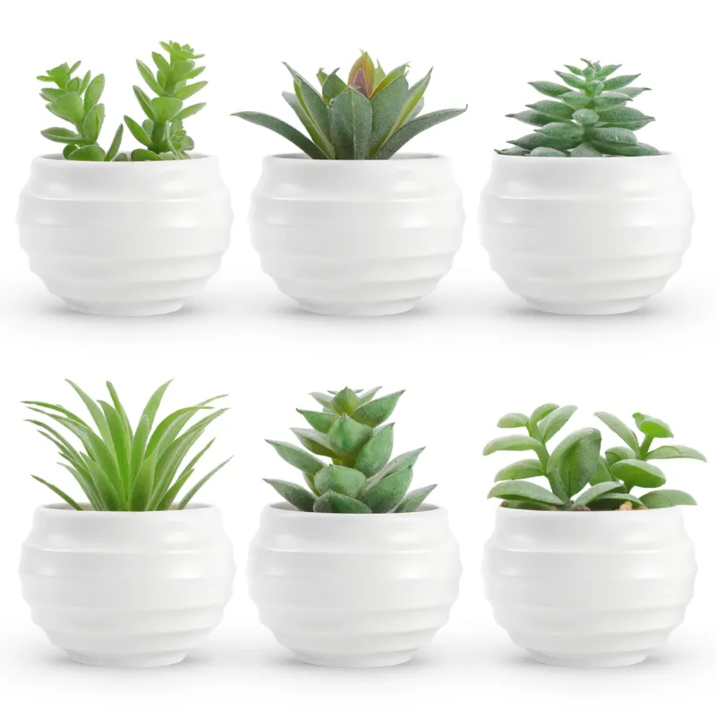 6 Artificial Succulents in Pots for Bathroom